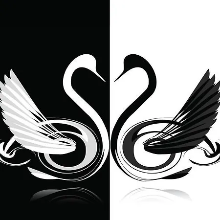 Gæstehus Swan